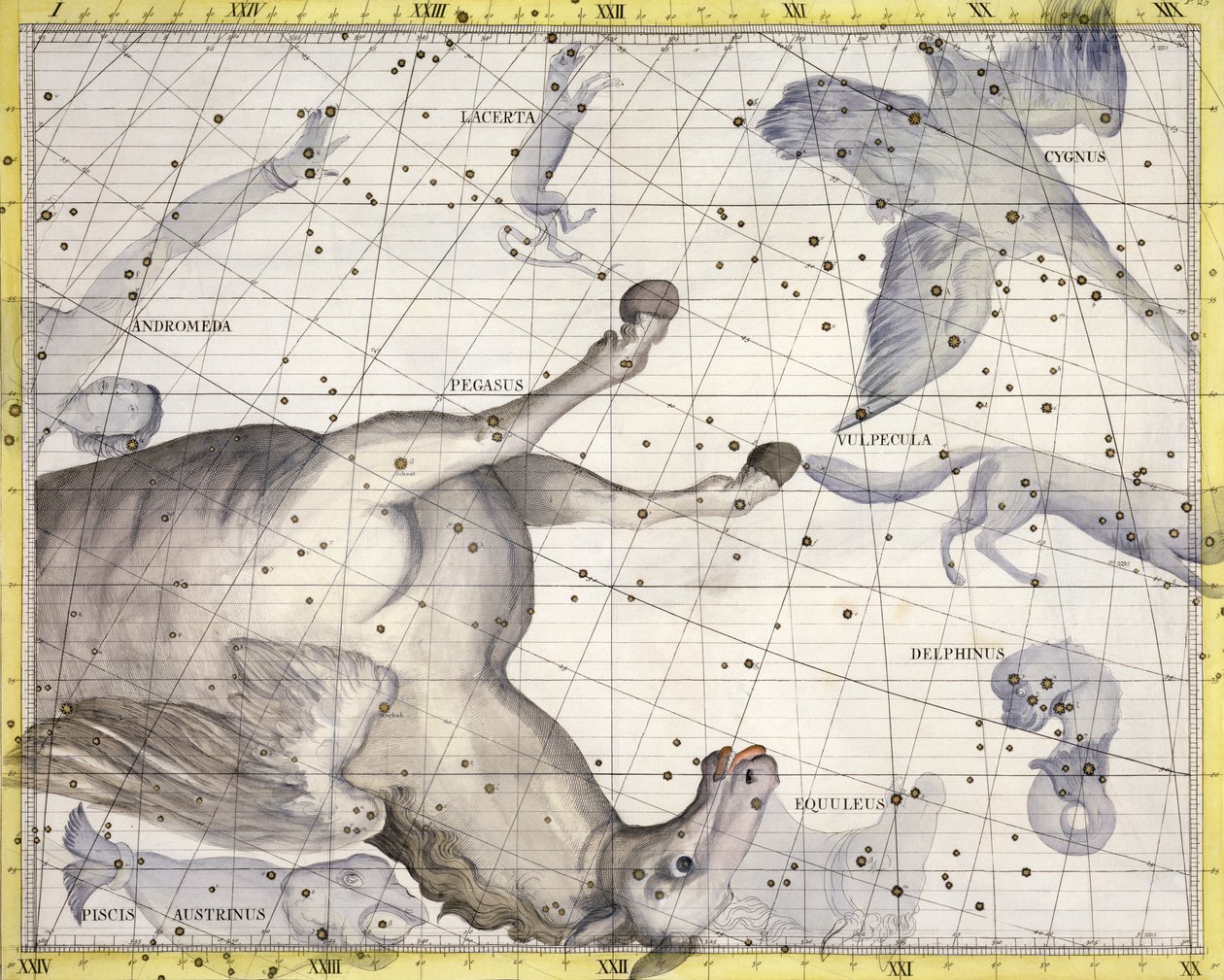 Pegasuksen tähdistö, 1729 tekijältä Unbekannt