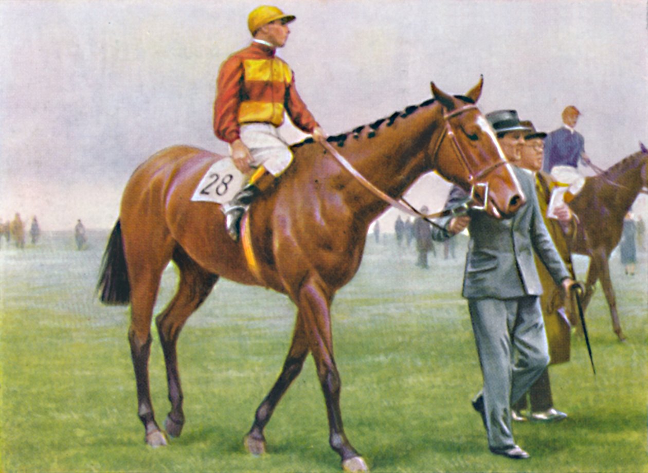 Brace, Jockey: A. Tucker, 1939 tekijältä Unbekannt