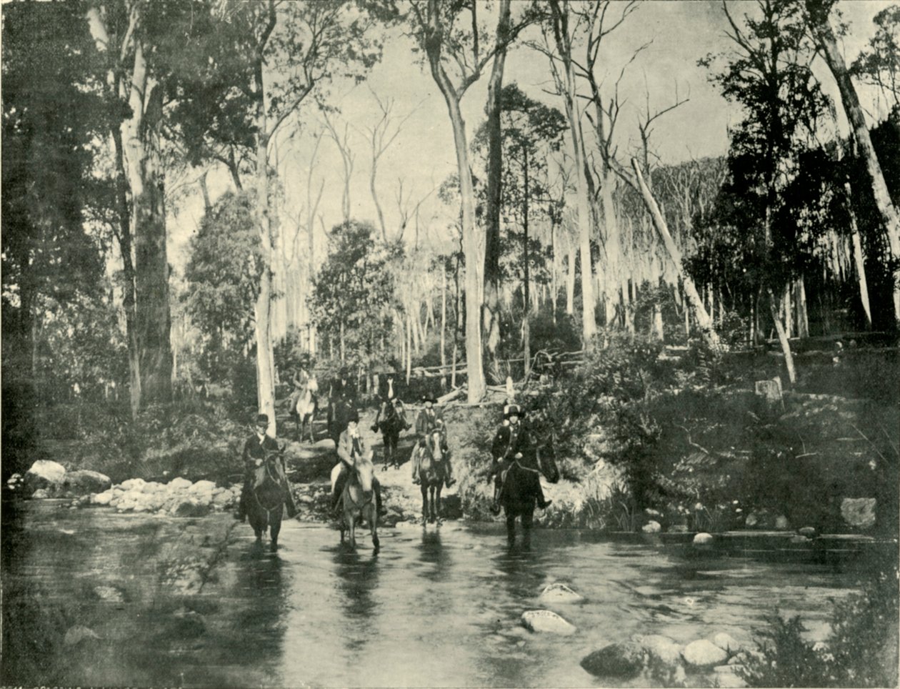 Ylitys joen lähellä Buffalo Fallsia, 1901. tekijältä Unbekannt