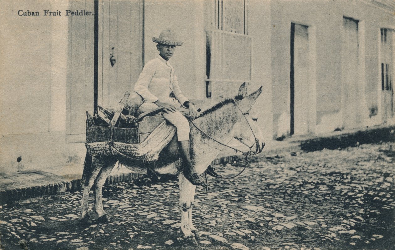 Kuubalainen hedelmäkauppa, c1908 tekijältä Unbekannt