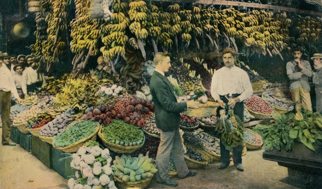 Kuuban hedelmäkauppa, c1910 tekijältä Unbekannt