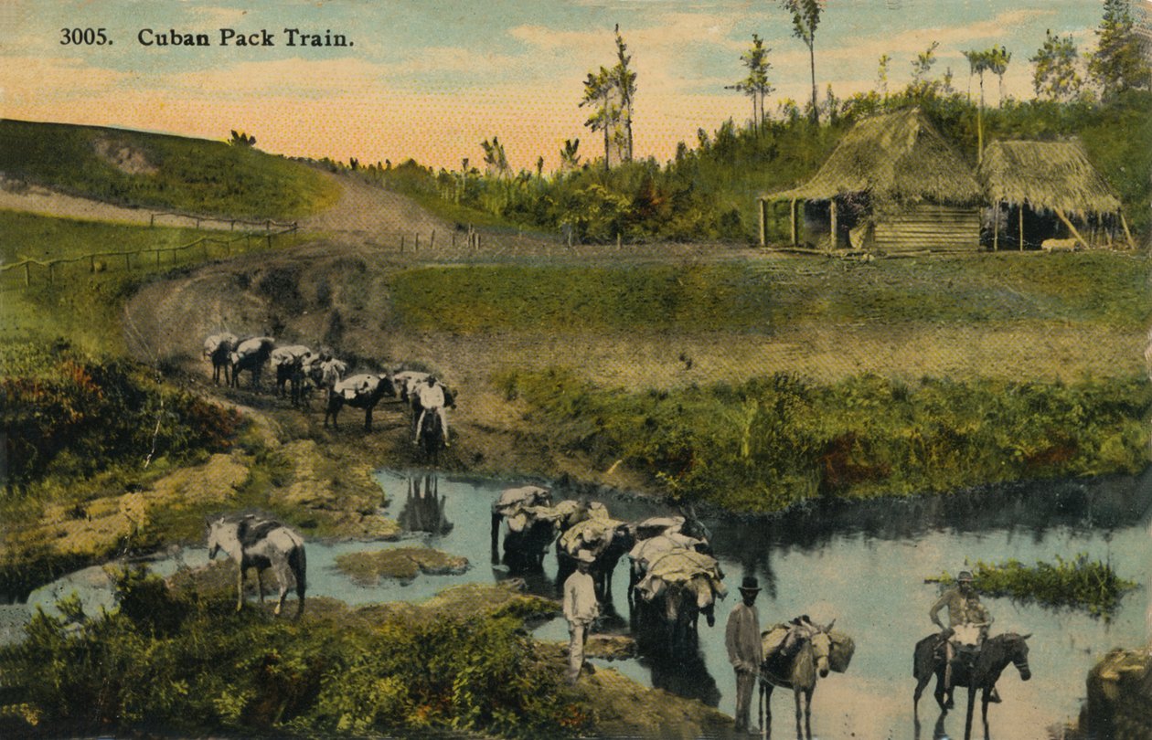 Cuban Pack Train, c1910 tekijältä Unbekannt