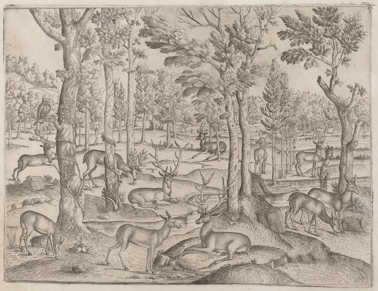 Deer in the Forest, n. 1520. tekijältä Unbekannt