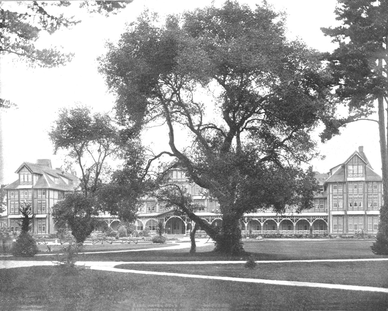 Del Monte, Monterey, Kalifornia, USA, c1900. tekijältä Unbekannt