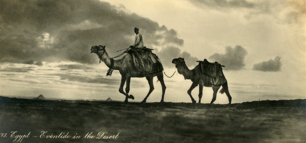 Egypti - Tapahtuma autiomaassa, c1918-c1939. tekijältä Unbekannt