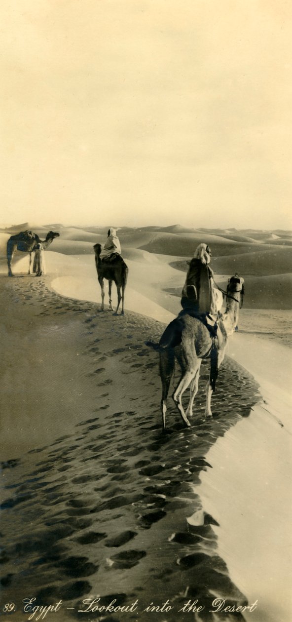 Egypti - Näköala autiomaahan, c1918-c1939. tekijältä Unbekannt