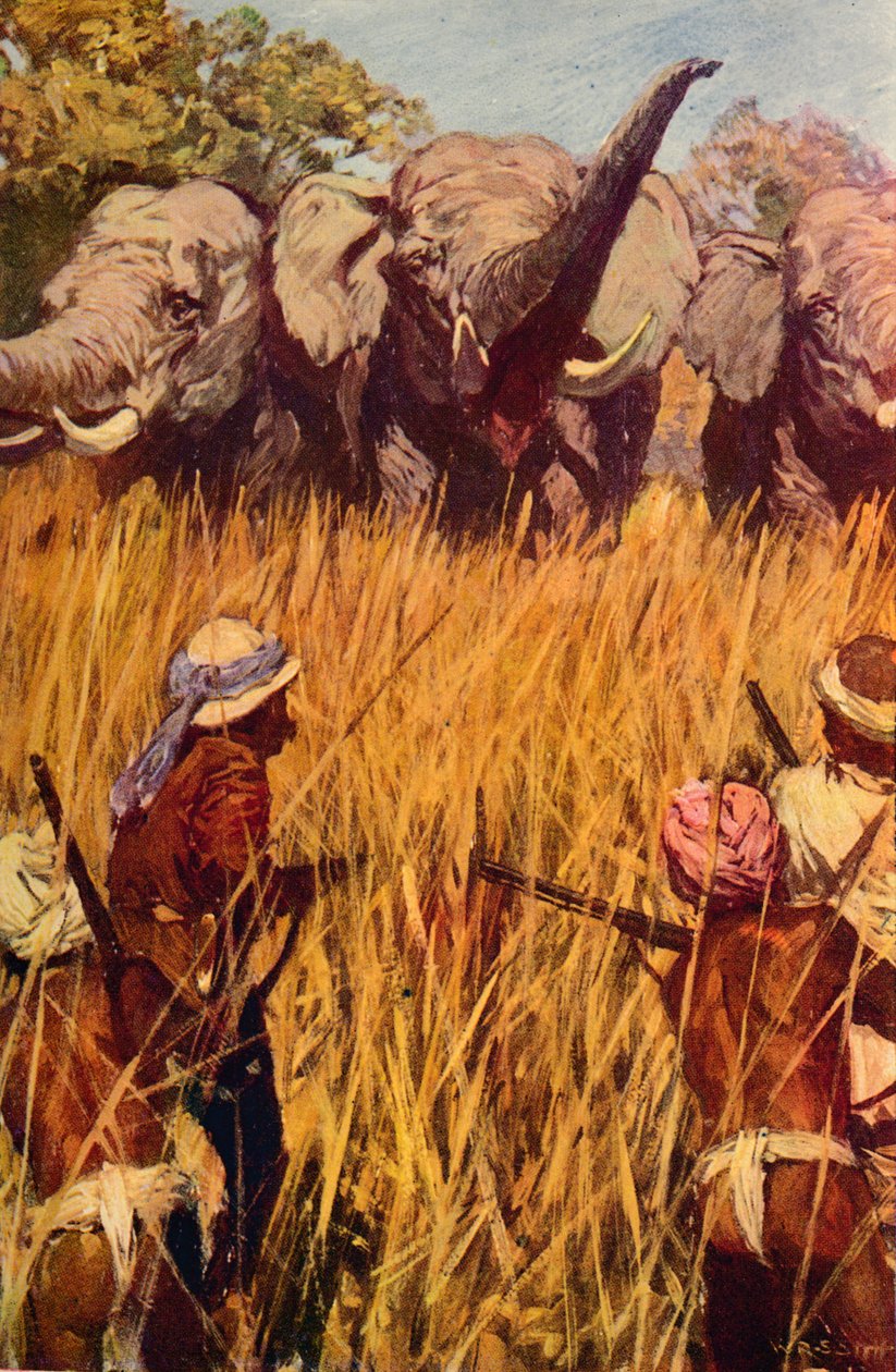 Elephants in Chase, c1850 c1912 tekijältä Unbekannt