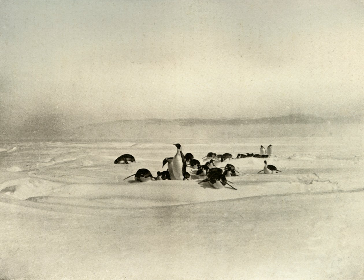 Keisarin kelkkailu, n. 1908, 1909 tekijältä Unbekannt