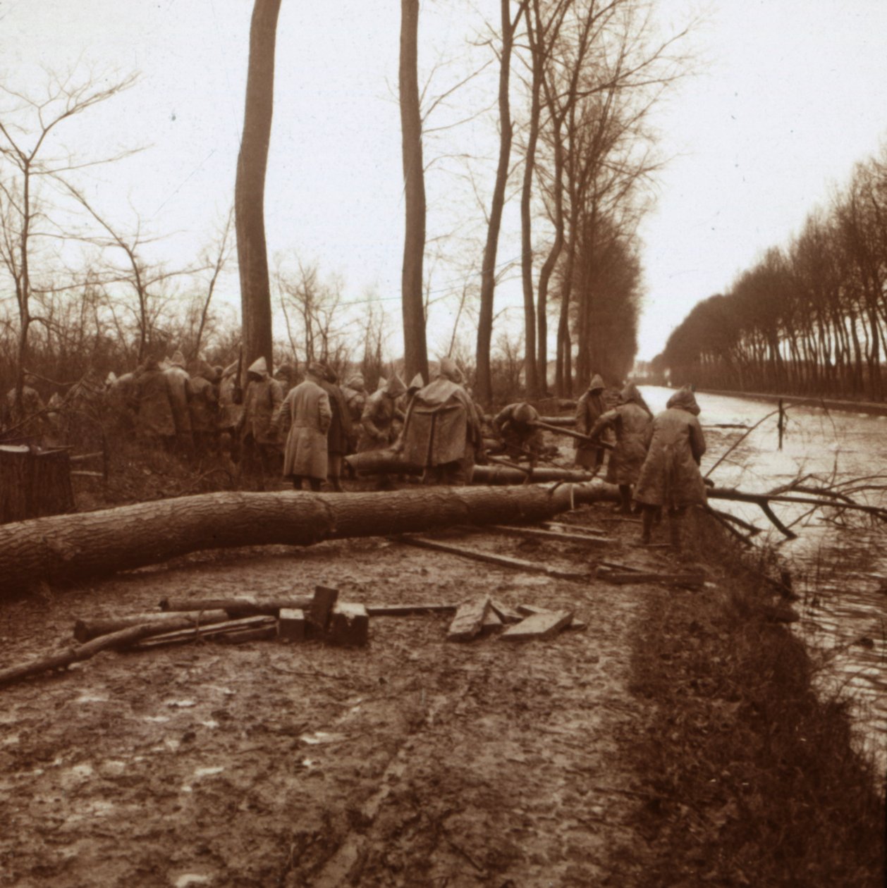 Puiden kaato, Noyon, Pohjois-Ranska, c1914-c1918 tekijältä Unbekannt