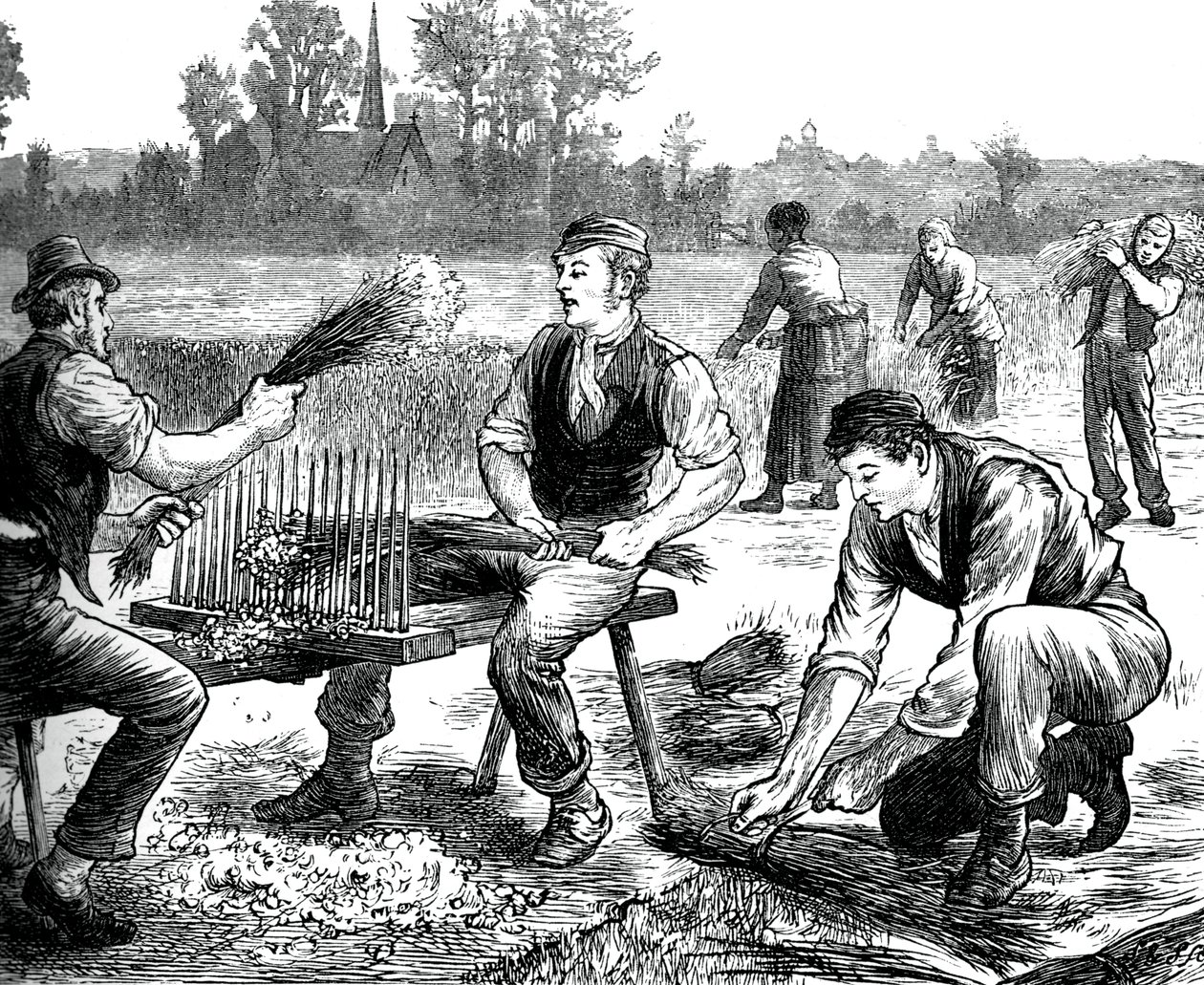 Pellavan aaltoilu, c1880 tekijältä Unbekannt