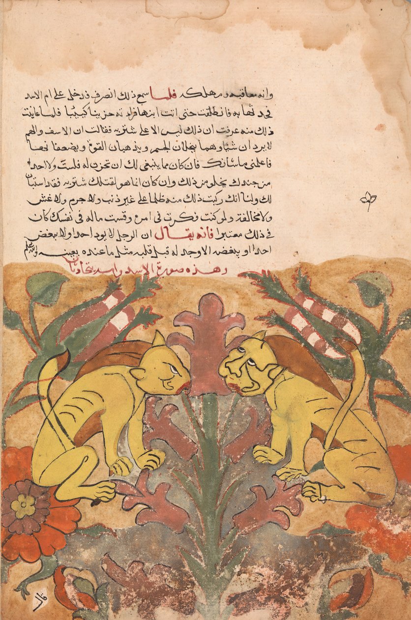 Folio Kalila wa Dimnasta, 1700-luku. tekijältä Unbekannt