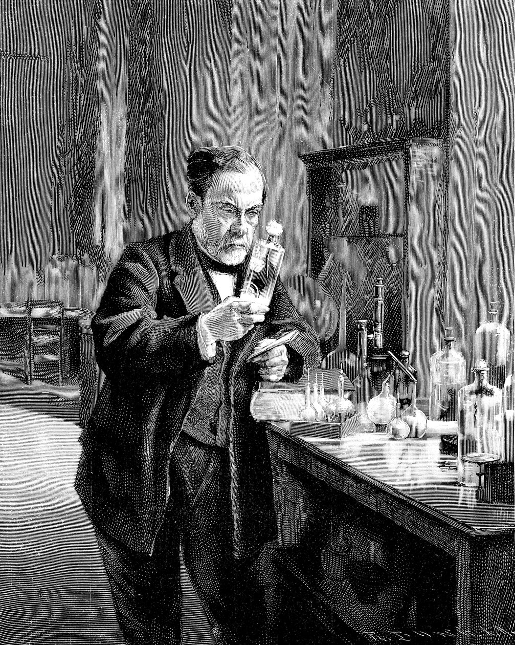 Ranskalainen kemisti ja mikrobiologi Louis Pasteur 18221895 tekijältä Unbekannt