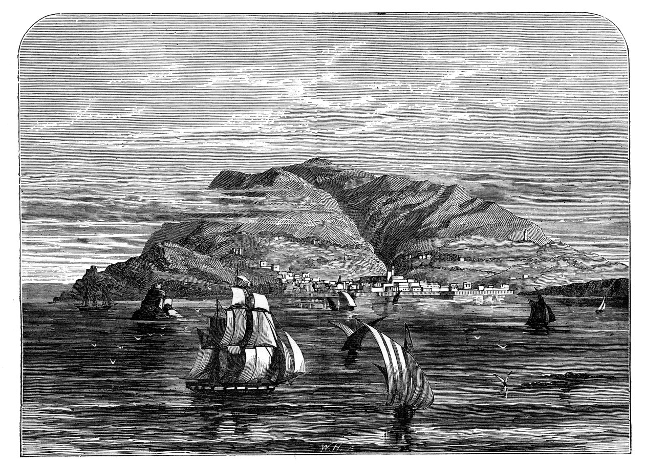 Funchal, Madeira, 1890 tekijältä Unbekannt