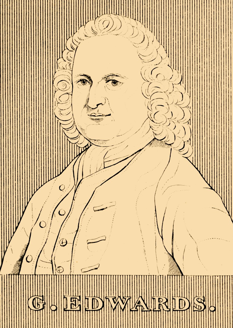 G. Edwards, 1694-1773, 1830. tekijältä Unbekannt