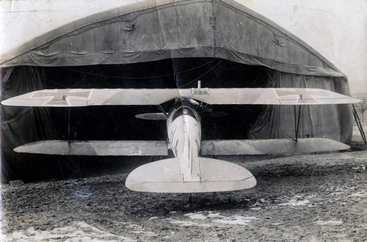 Saksalainen Albatros DV, Souilly, Ranska, 2. tammikuuta 1918 tekijältä Unbekannt