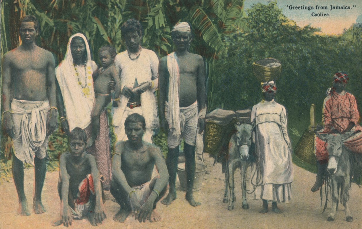 Terveisiä Jamaikalta. Coolies, 1900-luvun alku. tekijältä Unbekannt