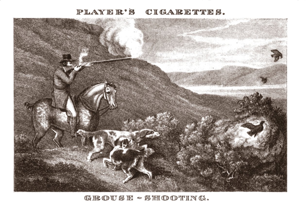 Grouse-Shooting, 1924. tekijältä Unbekannt