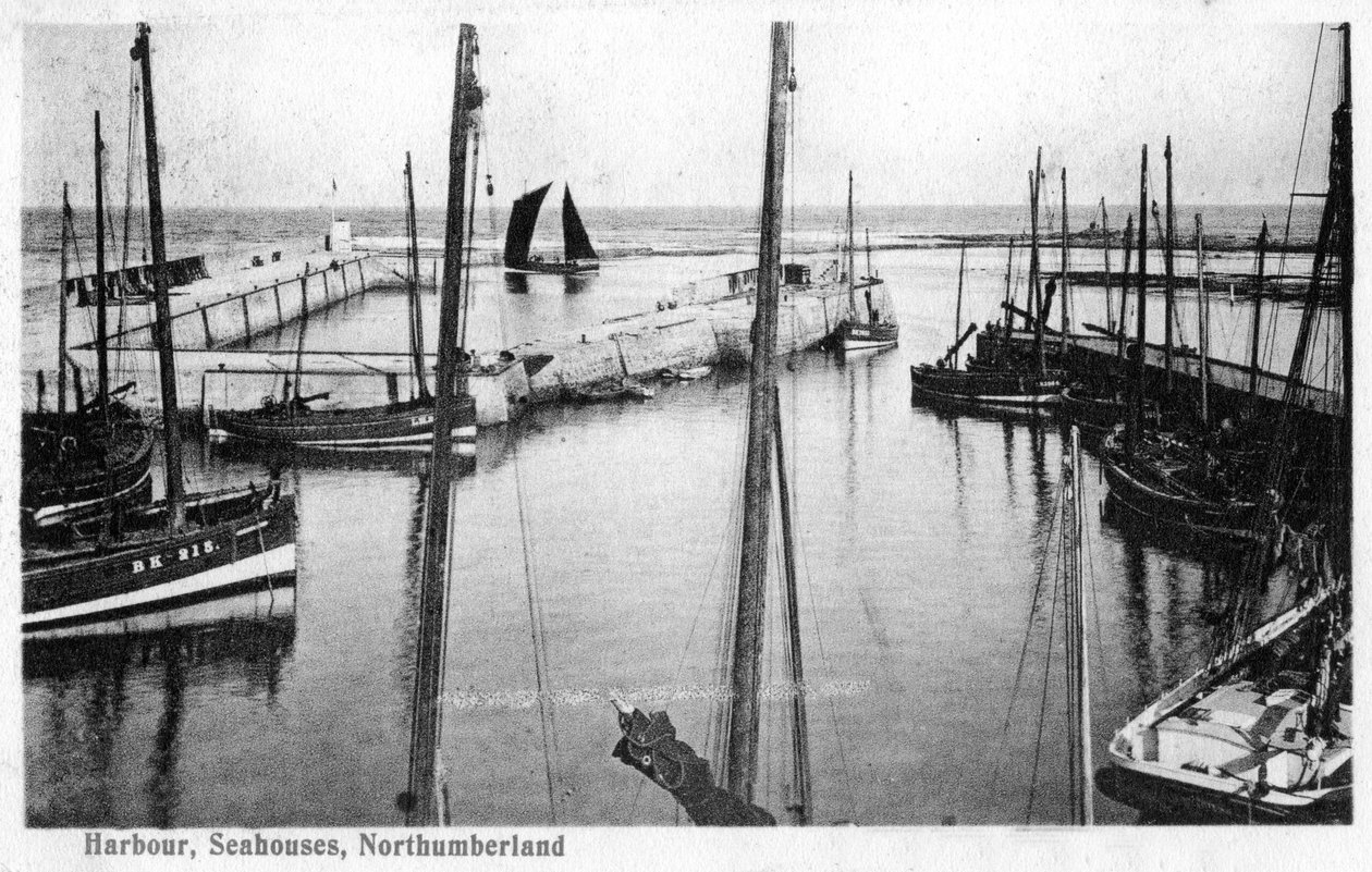 Harbour, Seahouses, Northumberland, 1905 tekijältä Unbekannt