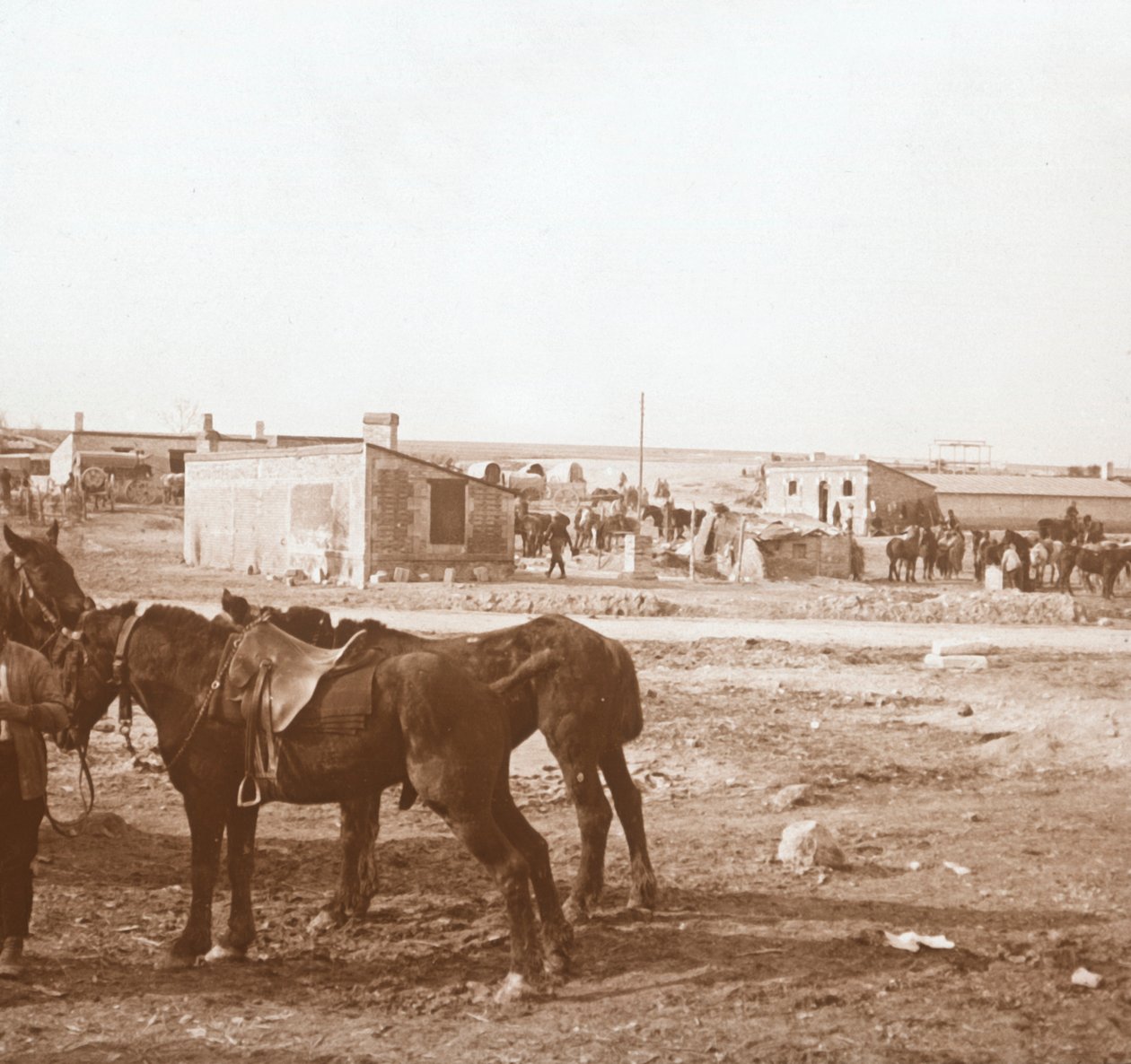Hevoset, Somme-Tourbe, Pohjois-Ranska, c1914-c1918 tekijältä Unbekannt