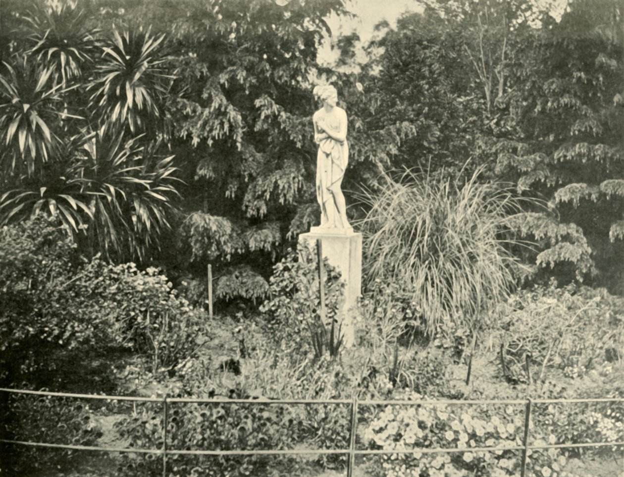 Fitzroy Gardensissa, Melbournessa, 1901. tekijältä Unbekannt