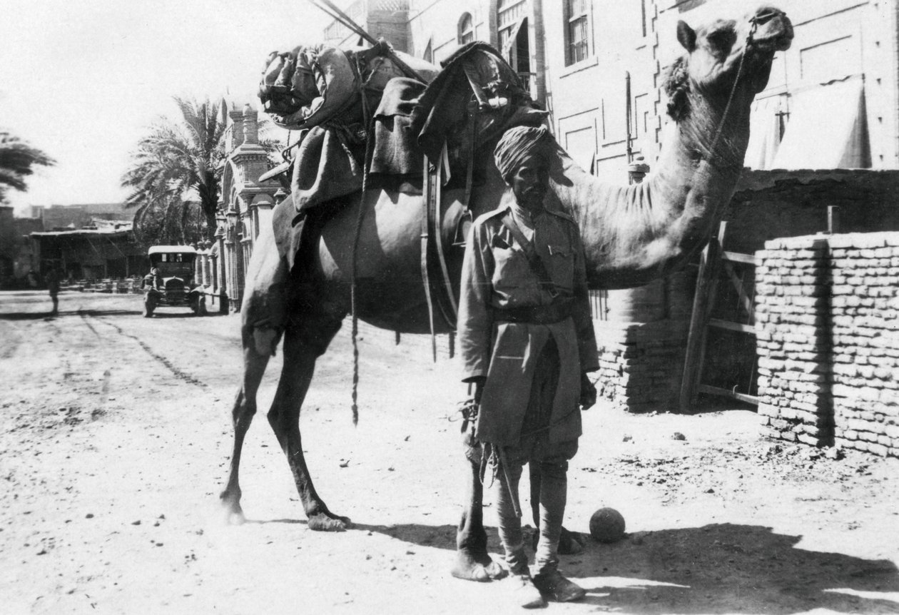 Intian kamellisoturi, Bagdad, 1918 tekijältä Unbekannt