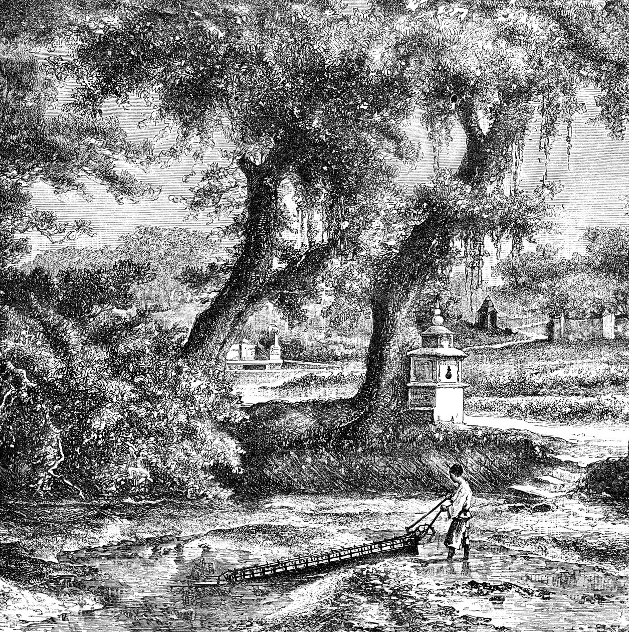 Kastelupumppu, Etelä-Kiina, c1890 tekijältä Unbekannt