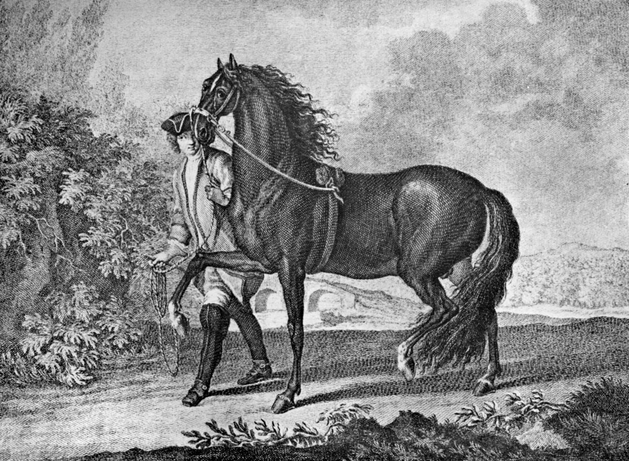 italialainen napolilainen hevonen, 1722 1938 tekijältä Unbekannt