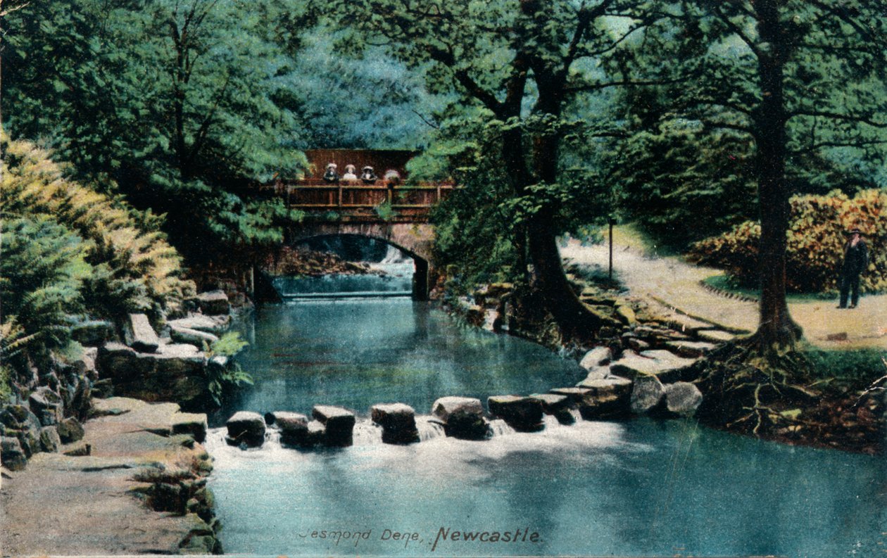 Jesmond Dene, Newcastle, 1905 tekijältä Unbekannt