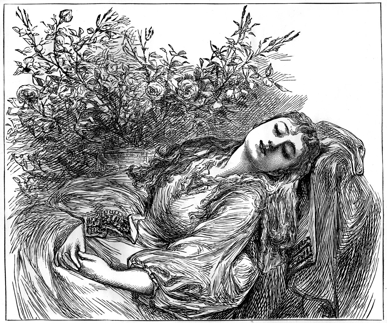 Julia, 1882 tekijältä Unbekannt