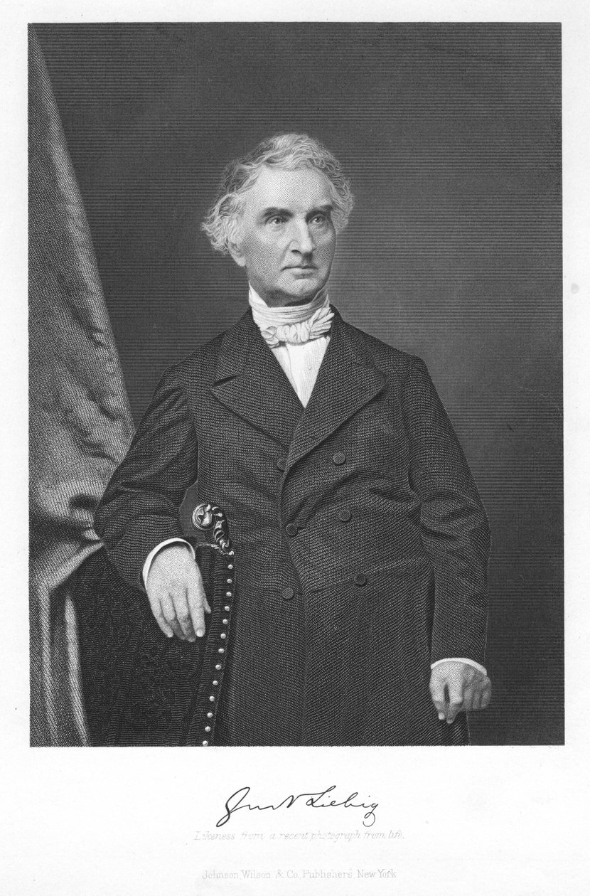 Justus von Liebig, 1800-luvun saksalainen kemisti tekijältä Unbekannt