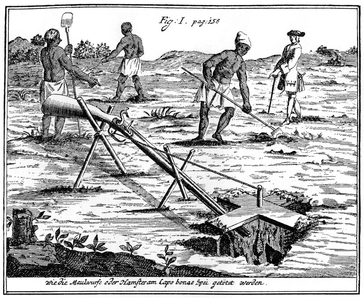 Khoikhois pyydystää myyräjä, Etelä-Afrikka, 1700-luku 1931 tekijältä Unbekannt
