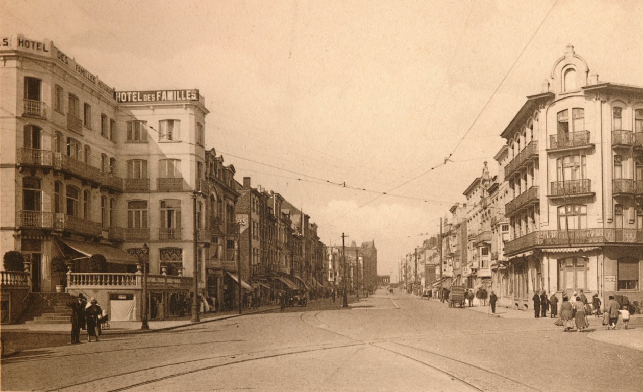 LAvenue Lippens, c1900. tekijältä Unbekannt
