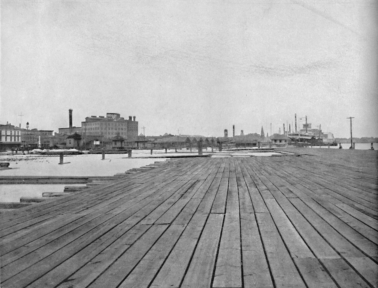 Levee and Steamboat Landing, New Orleans, c1897. tekijältä Unbekannt