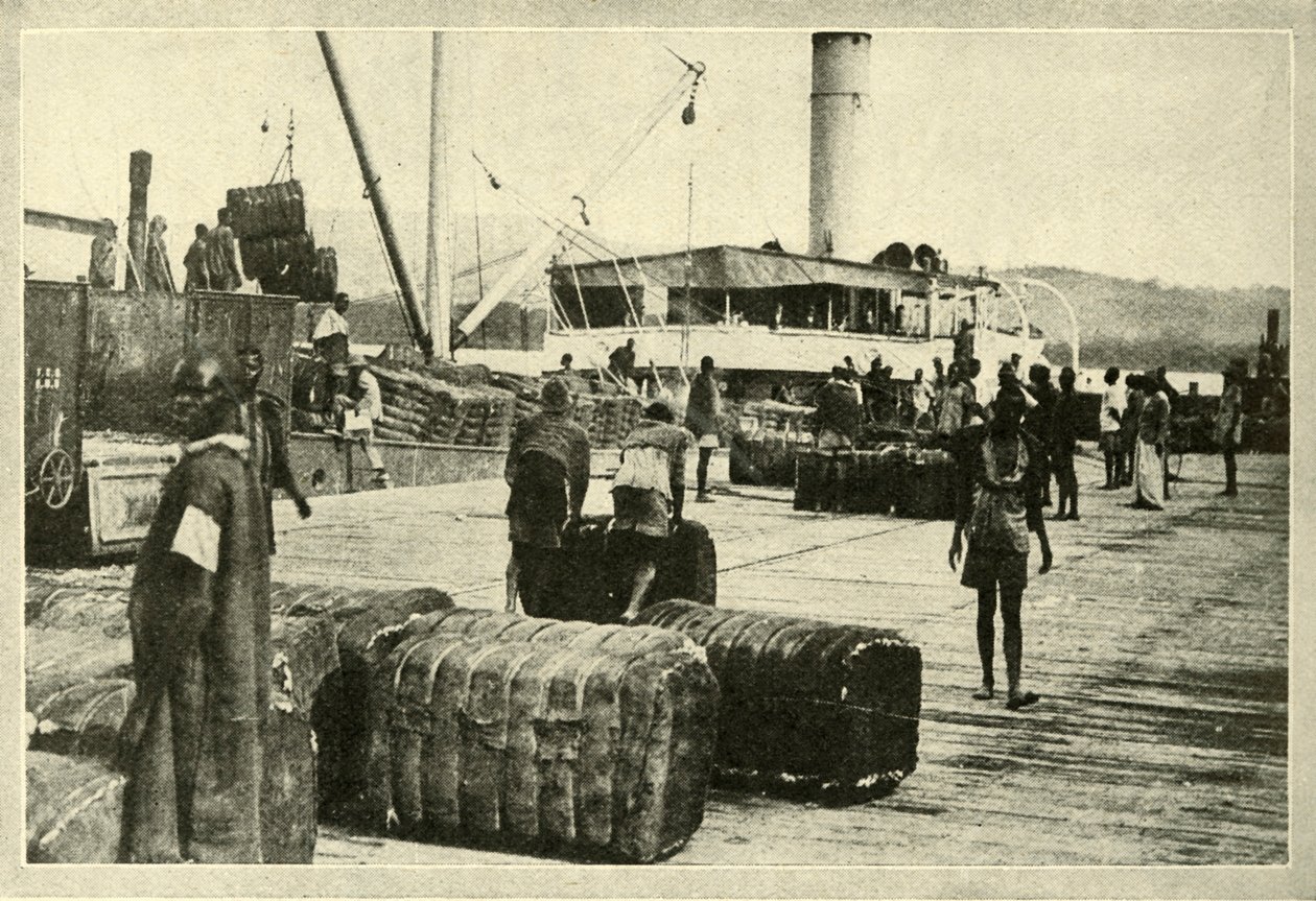 Puuvillalastin lastaus, vuodelta 1948. tekijältä Unbekannt
