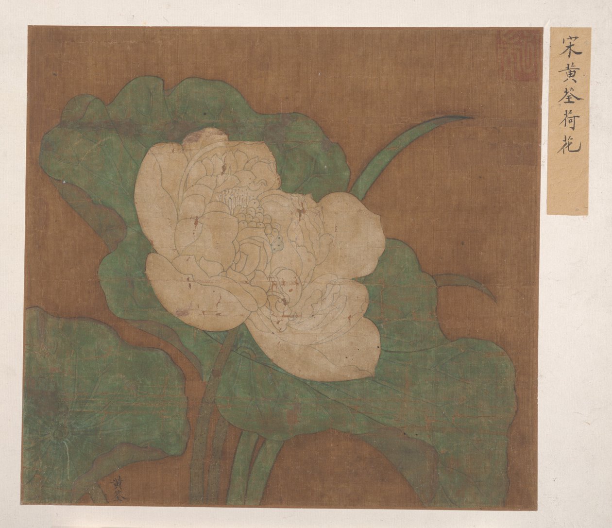 Lotus. tekijältä Unbekannt