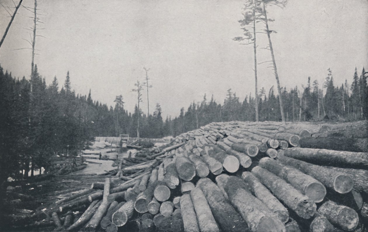 Metsätyö, 1924 tekijältä Unbekannt