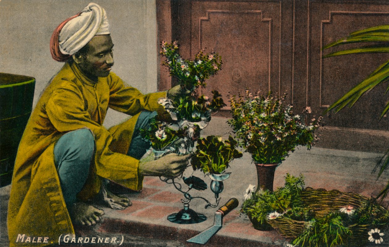 Malee Gardener, c1900 tekijältä Unbekannt