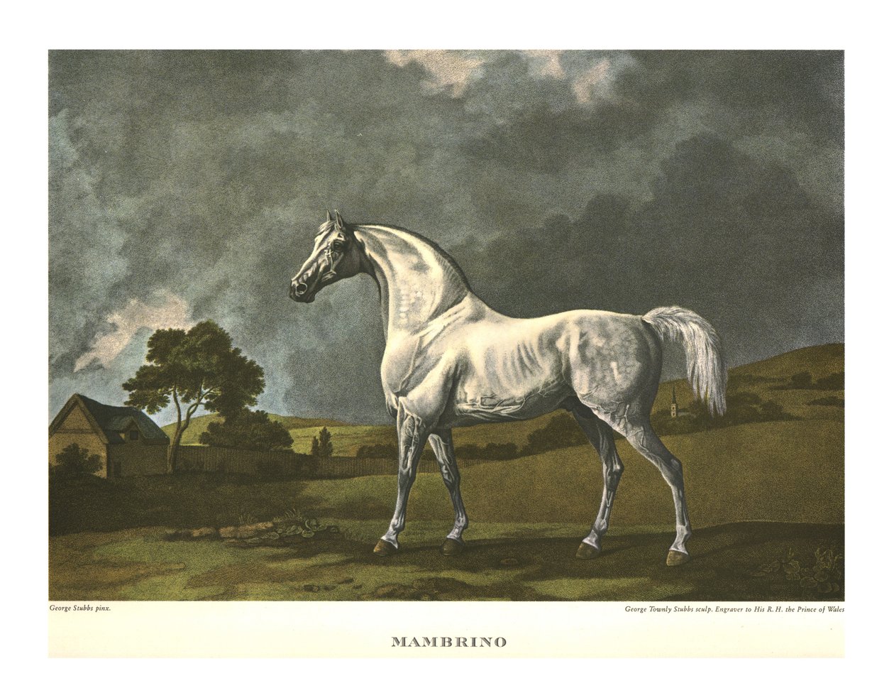 Mambrino, c1779, c1955. tekijältä Unbekannt