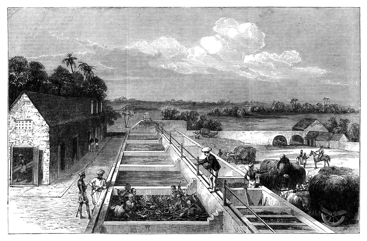 Indigon valmistus Tirhoot Muzaffarpurissa, Ala-Bengalissa, 1869 tekijältä Unbekannt