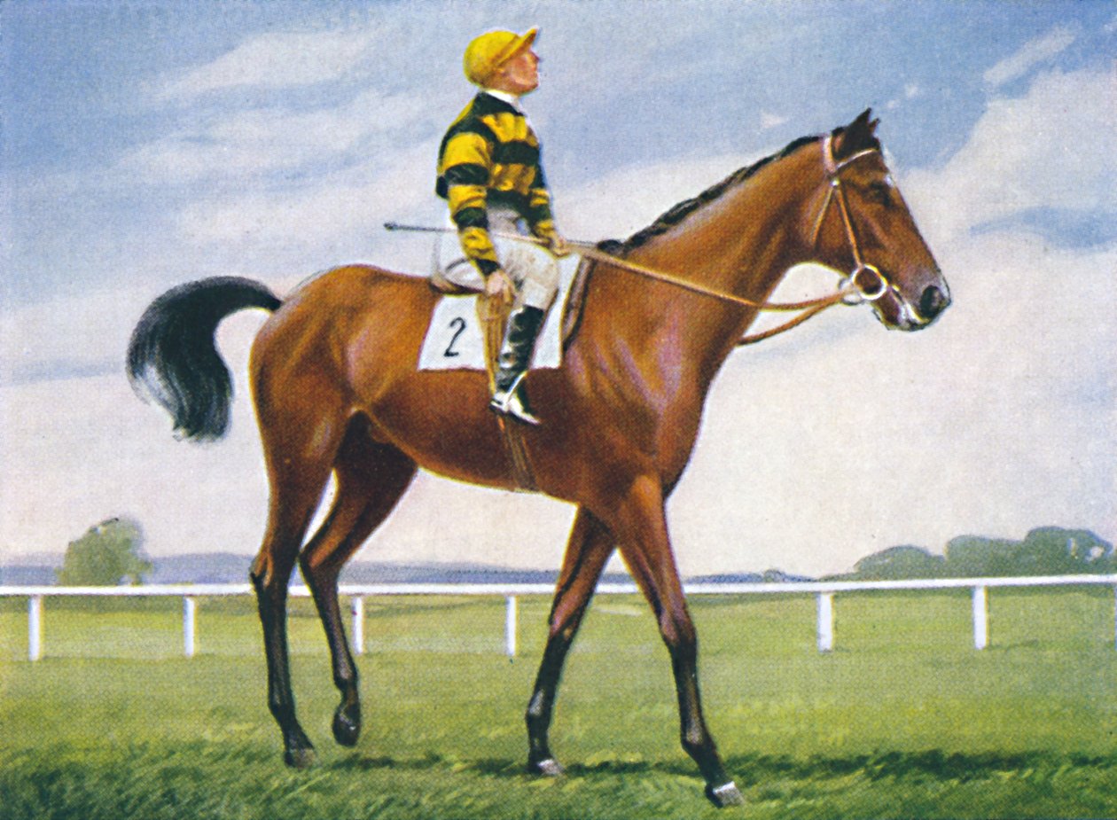 Meadow, Jockey: T. Weston, 1939 tekijältä Unbekannt