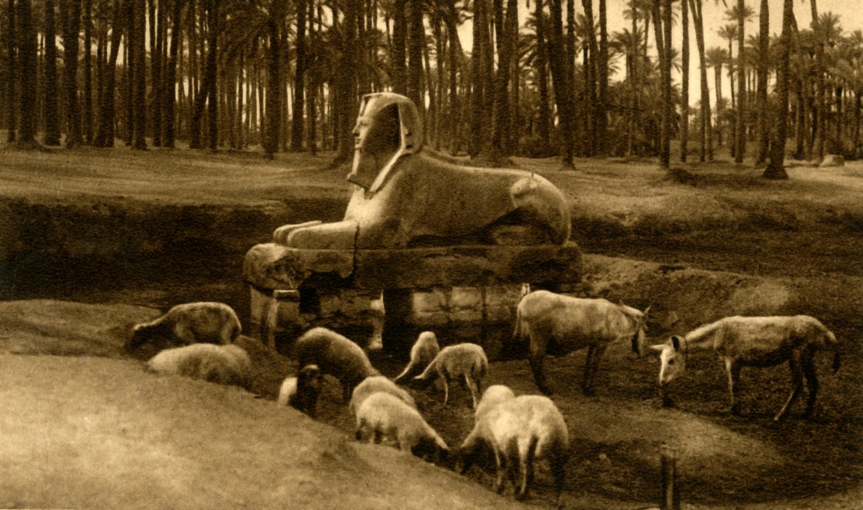 Memphis - Alabasterisfinksi, c1918-c1939. tekijältä Unbekannt
