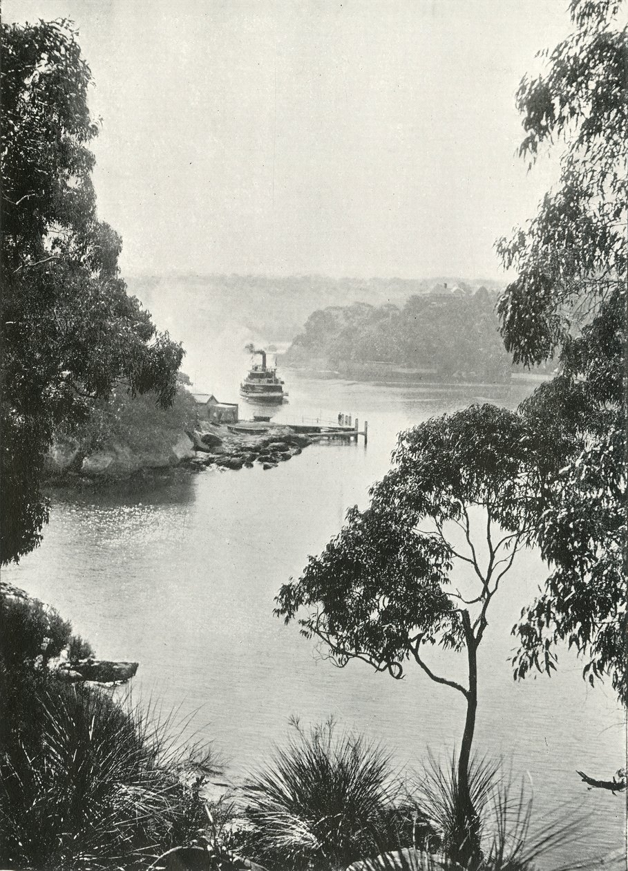 Mosmans Bay, Cremorne Jetty, c1900. tekijältä Unbekannt