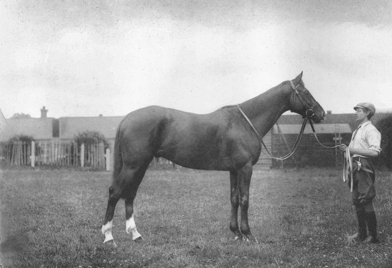 Mount Prospects Fortune, 1911 tekijältä Unbekannt
