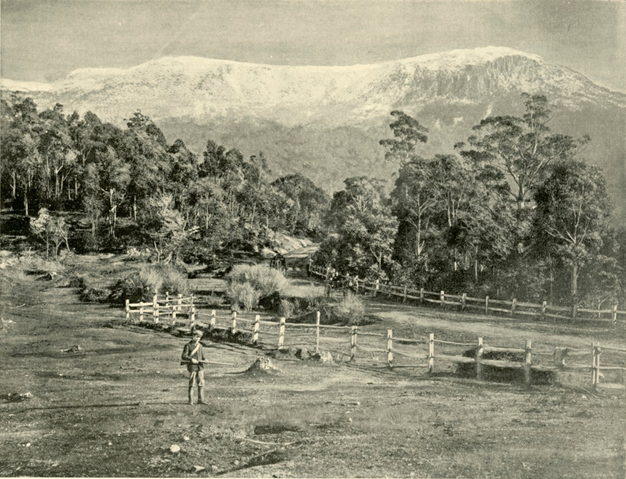Mount Wellington, Huon Roadilta, 1901. tekijältä Unbekannt