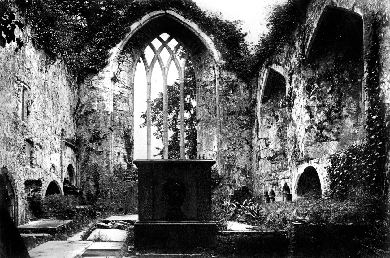 Muckross Abbey, Killarney, 1882 tekijältä Unbekannt