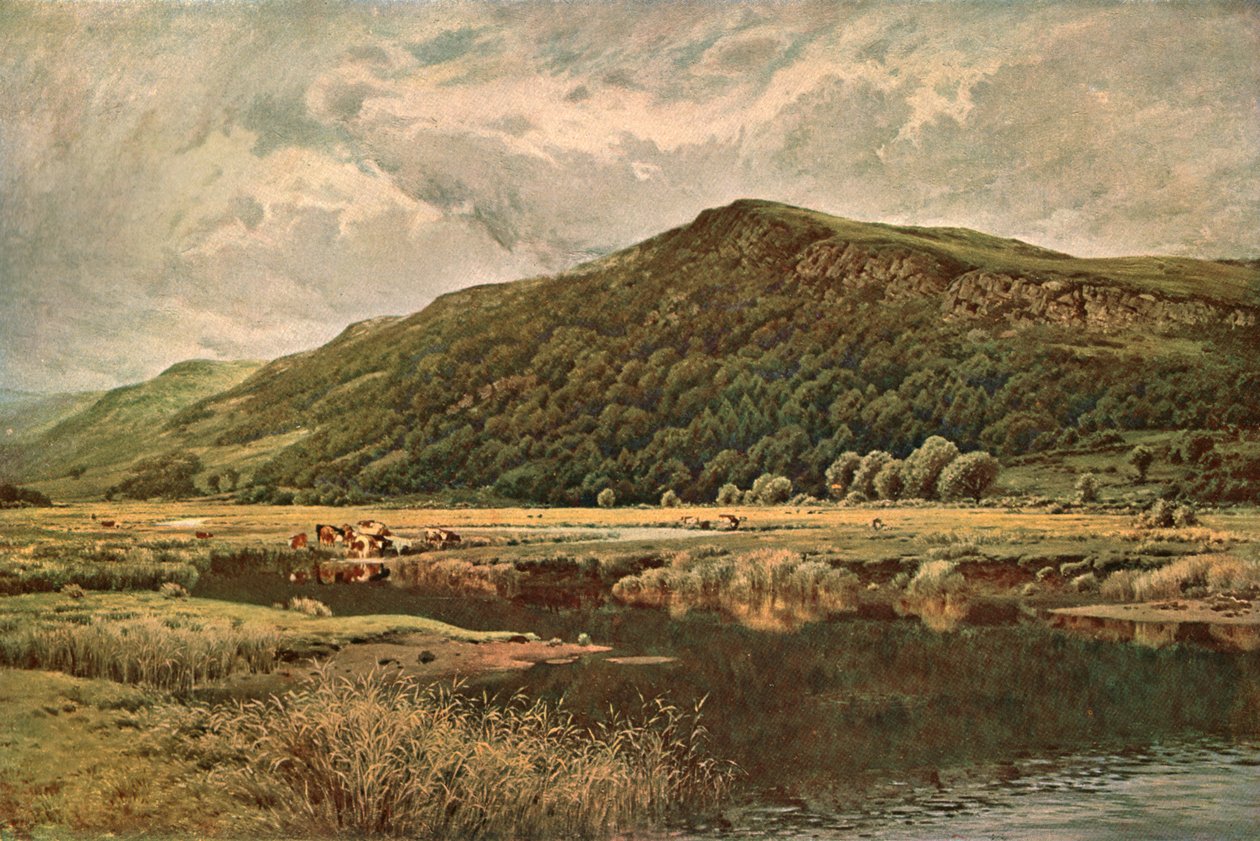 Natures Mirror, 1882, c1902. tekijältä Unbekannt