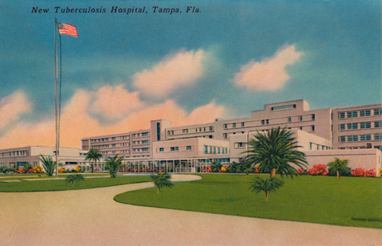New Tuberculosis Hospital, Tampa, Fla., 1940-luku tekijältä Unbekannt