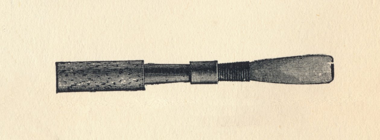 Muista Ray d, 1895. tekijältä Unbekannt