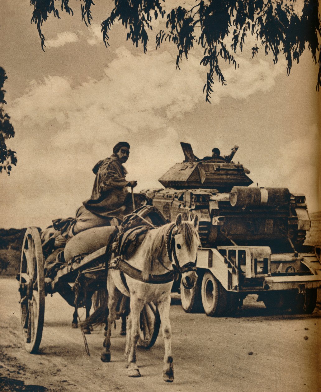 Vanhaa ja uutta Pohjois-Afrikassa, 1943 tekijältä Unbekannt