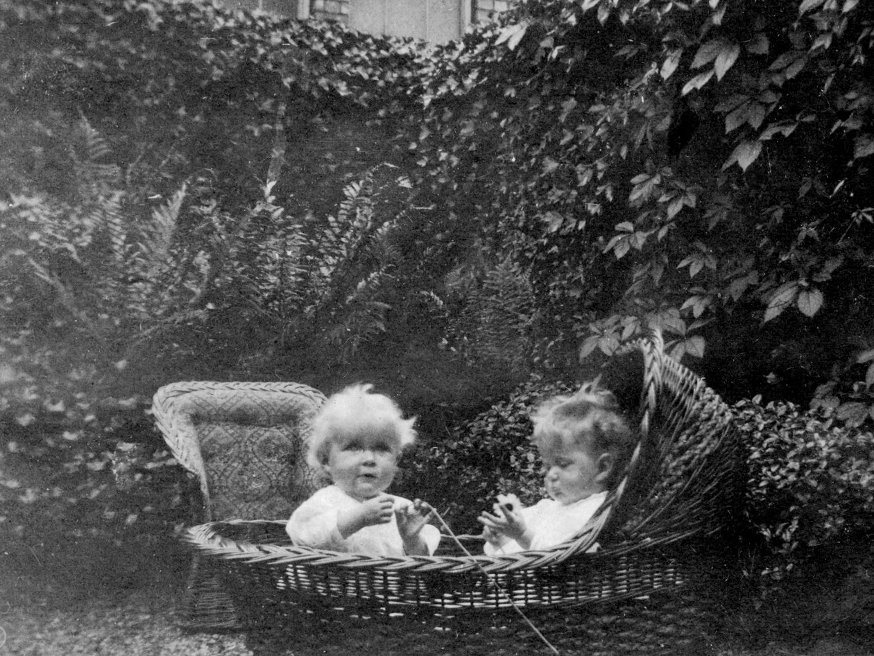 Vuoden ikäinen, 1915 tekijältä Unbekannt